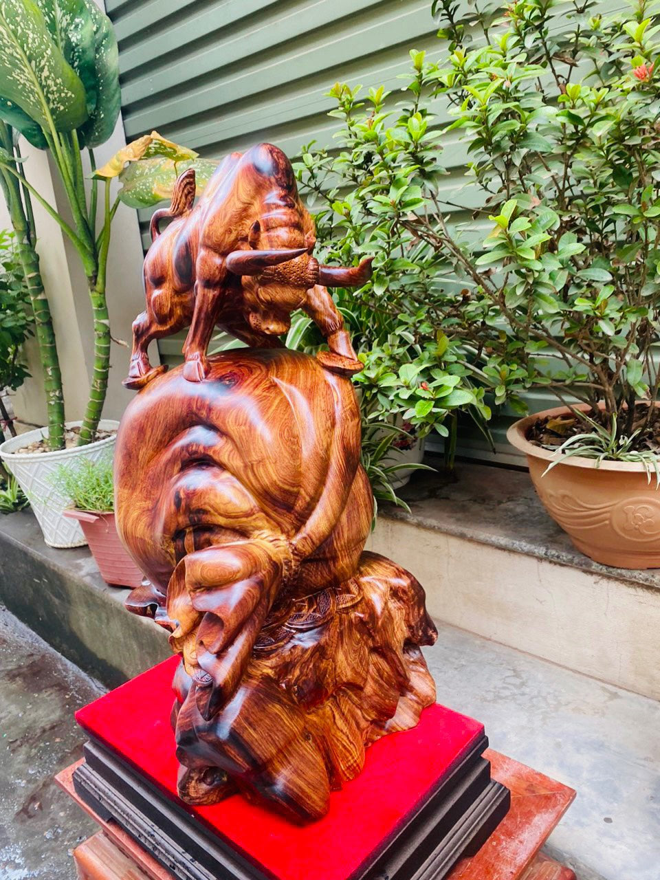 Tượng Bò Tót Phong Thủy Trên Bao Tiền Gỗ Cẩm Cao 60