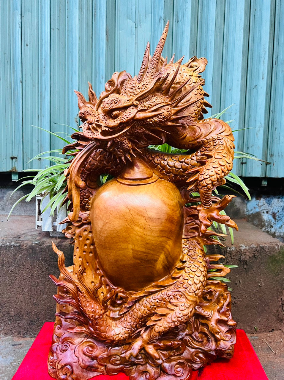Tượng Nhất Long Trấn Chum Phong Thủy Gỗ Hương Cao 63cm