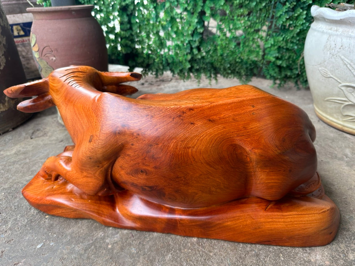 Tượng Trâu Gỗ Hương Ta Nguyên Khối - Biểu Tượng Tài Lộc, Kích Thước 52cm