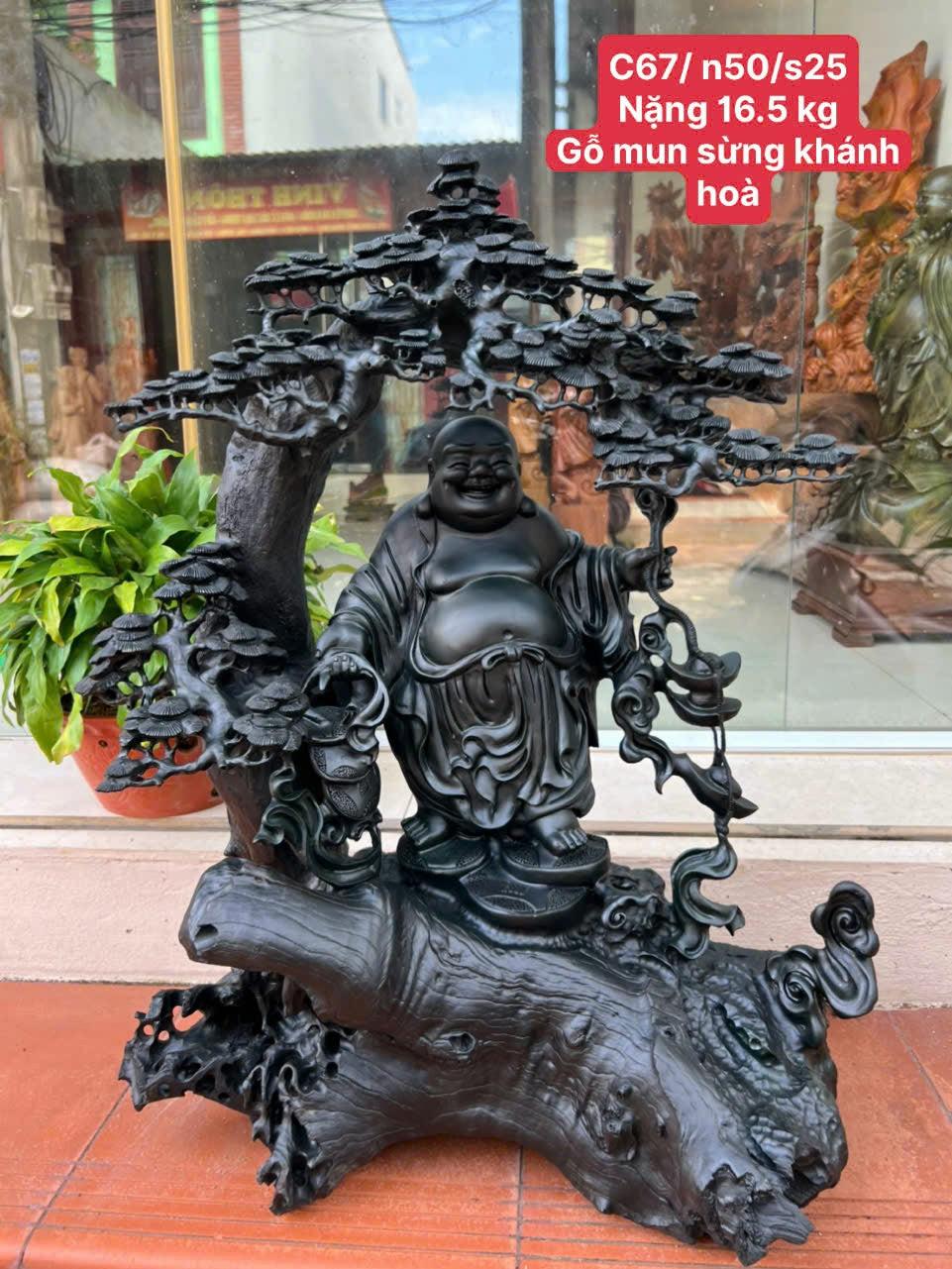 Tượng Di Lặc Đứng Gốc Tùng Gỗ Mun Sừng - Cao 67cm