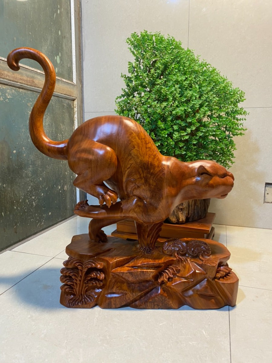 Kim Tiền Báo Gỗ Sụn Hương Đá Nam Phi