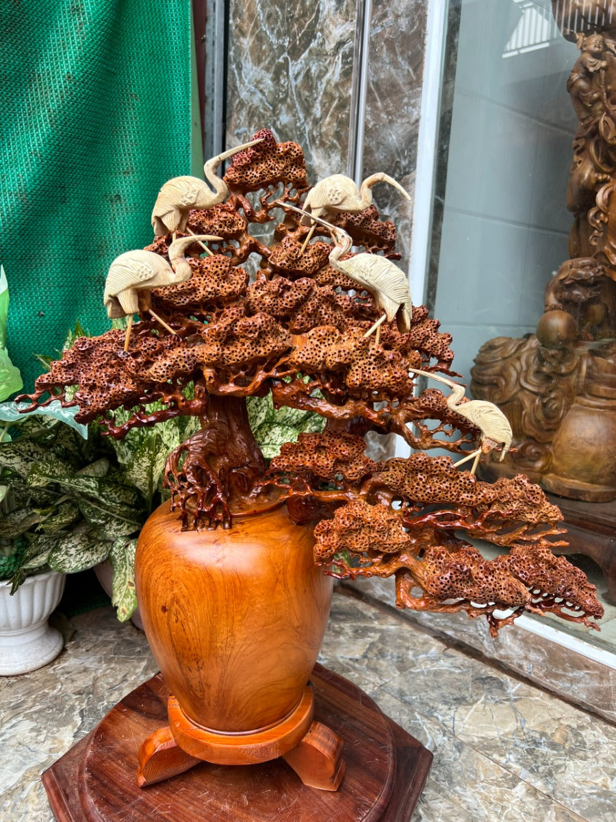 Bình Tùng Bonsai Ngũ Hạc - Gỗ Hương Ta