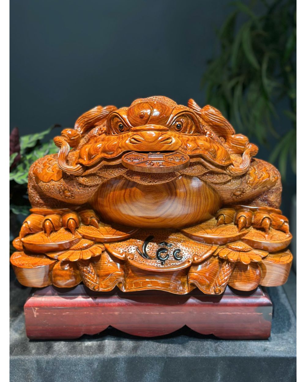 Ý Nghĩa Phong Thủy Của Cóc Ngậm Tiền - Thiềm thừ