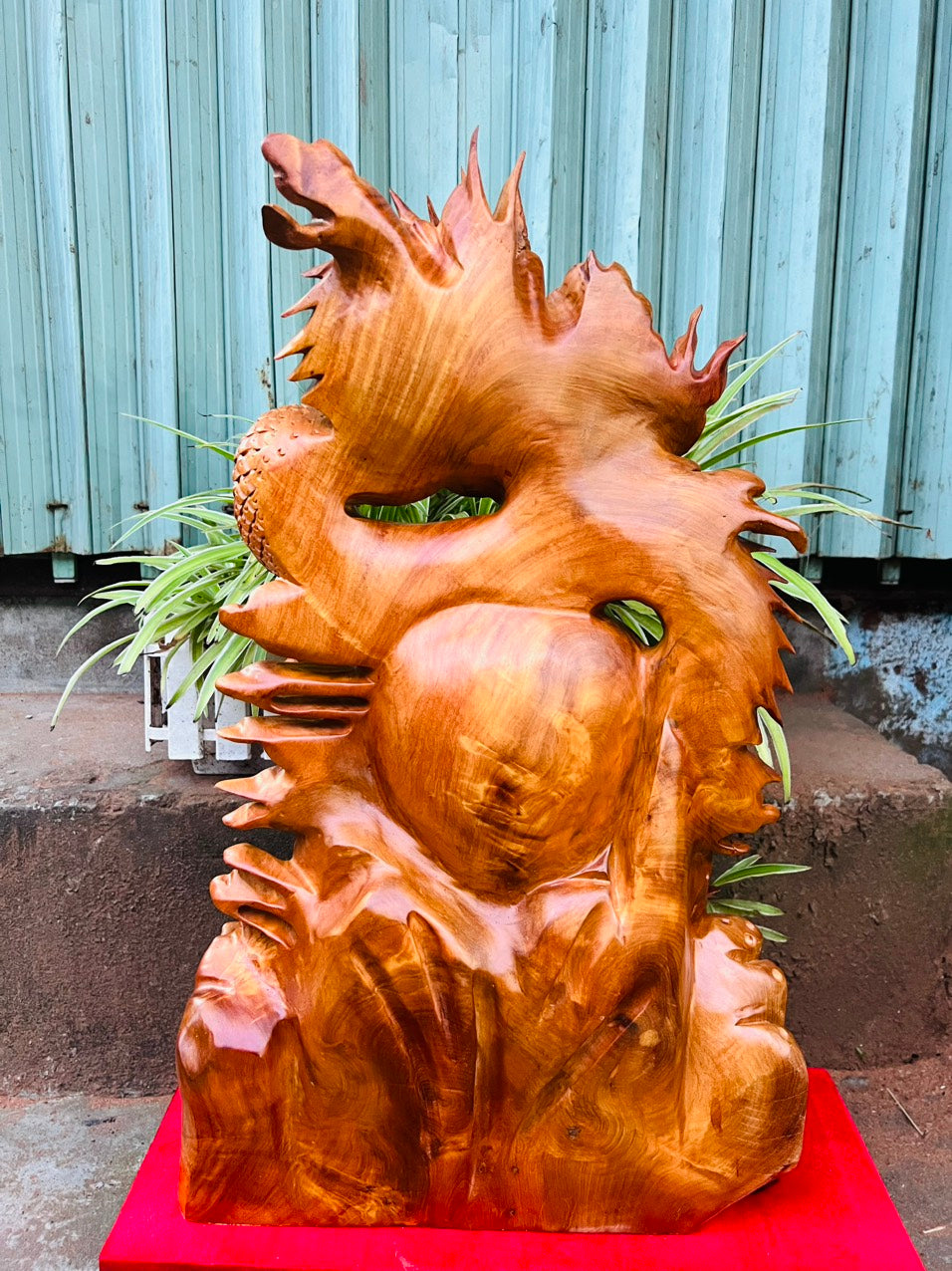 Tượng Nhất Long Trấn Chum Phong Thủy Gỗ Hương Cao 63cm