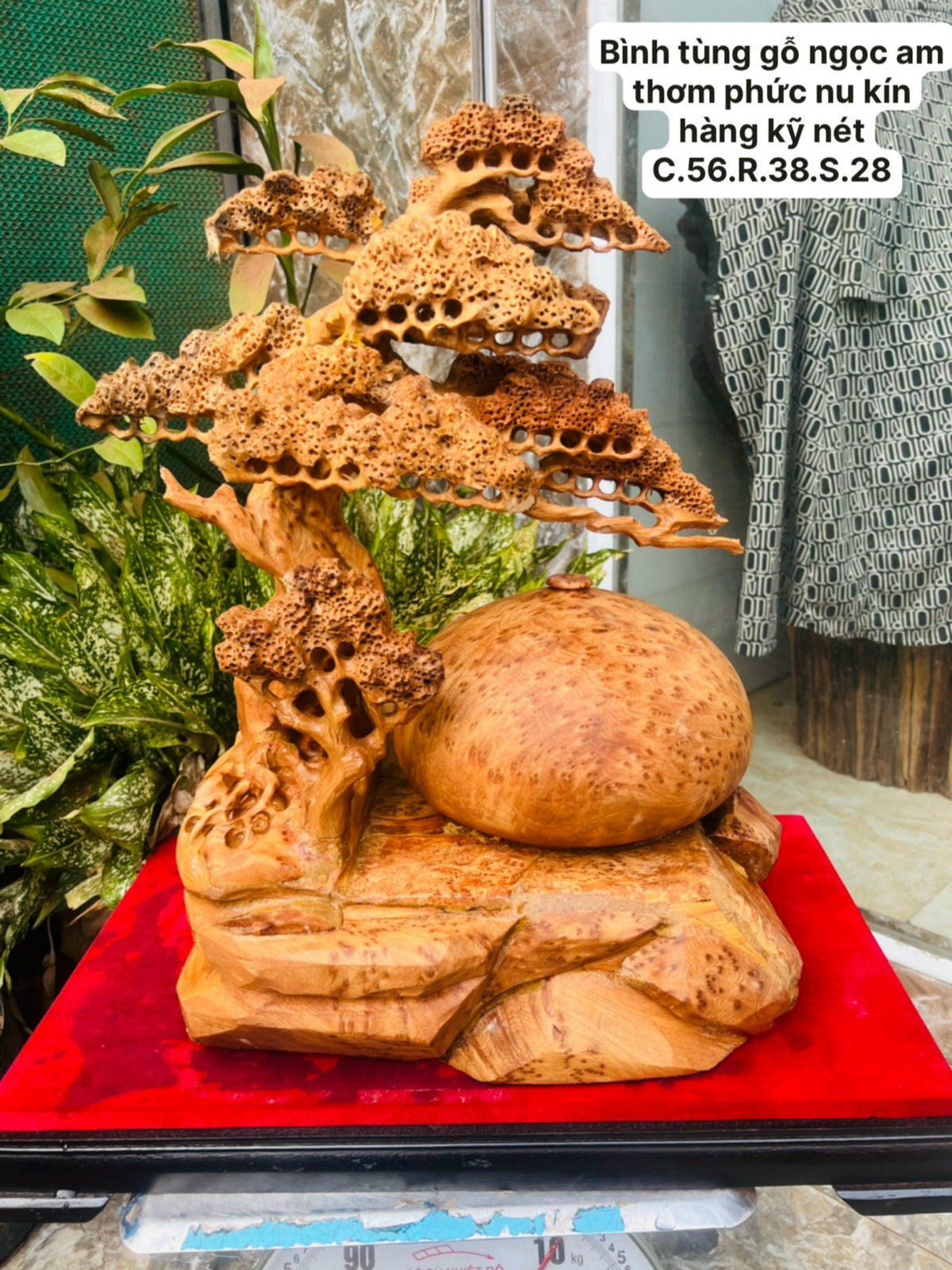 Bình Tùng Nu Ngọc Am Cao Cấp Cao 56cm