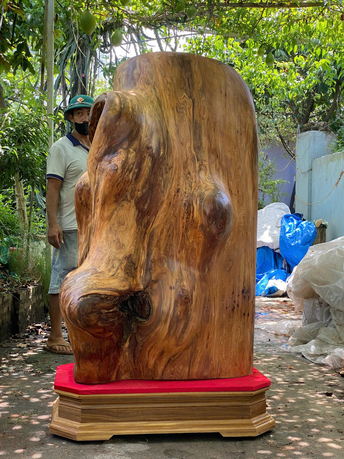 Lũa Gốc Rễ Ngọc Am Mọng Dầu Nghệ Thuật - Khối Lượng 380kg
