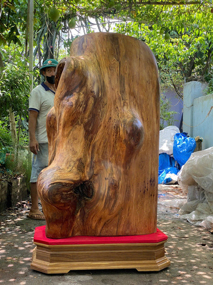 Lũa Gốc Rễ Ngọc Am Mọng Dầu Nghệ Thuật - Khối Lượng 380kg