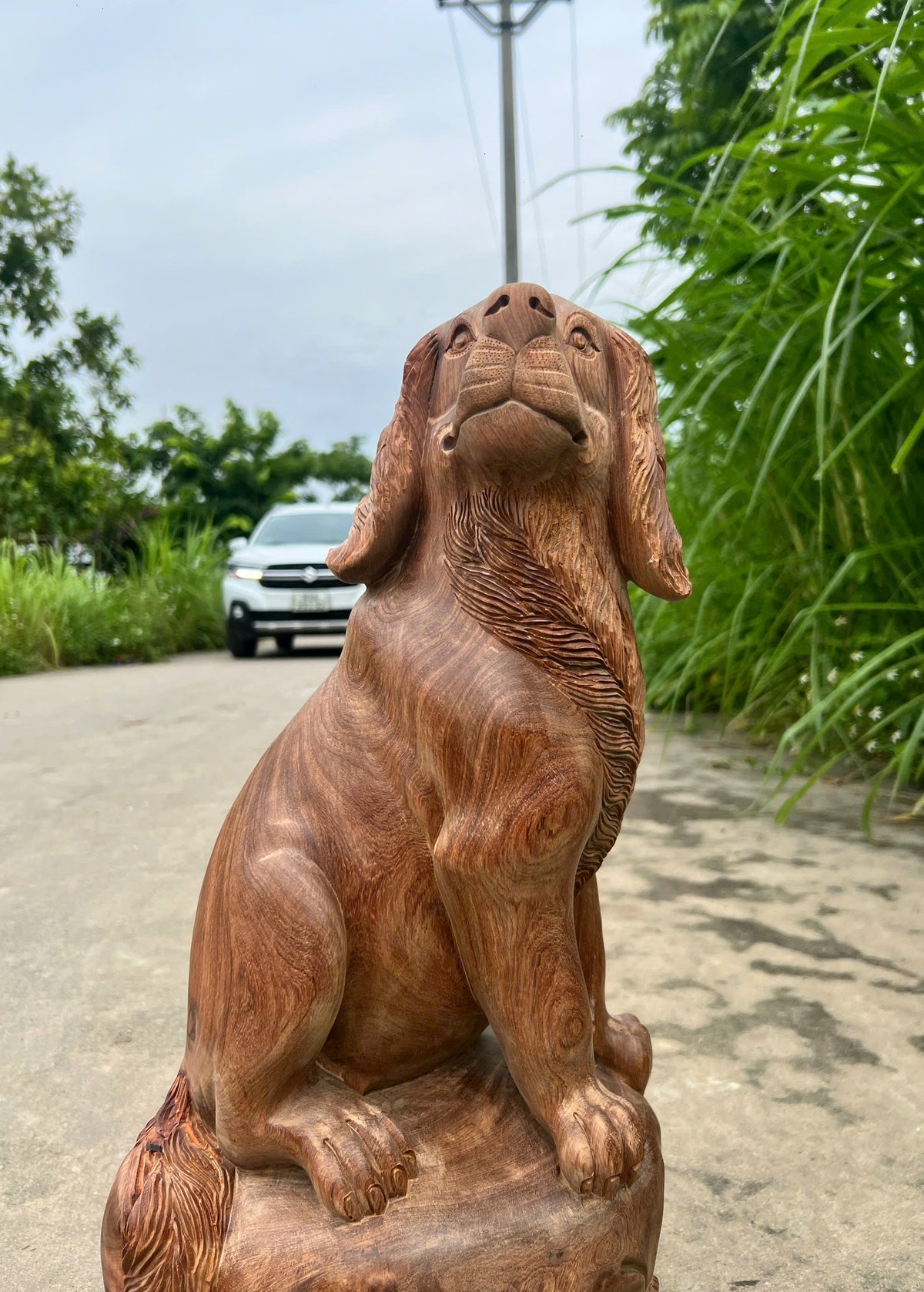 Tượng Linh Vật Chó Gỗ Hương - Cao 55cm