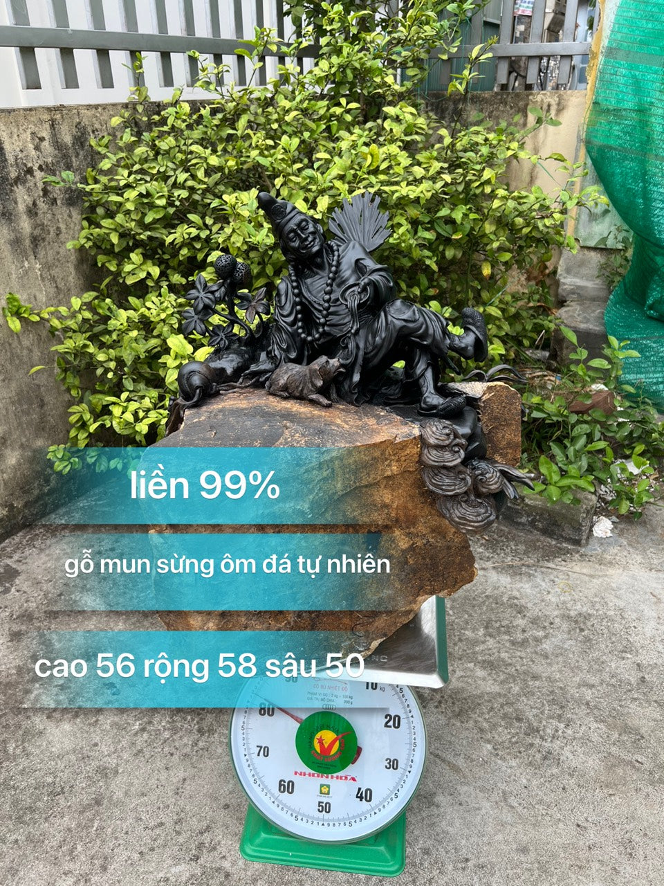 Tượng Phật Tế Công ôm đá Gỗ Mun Sừng Cao 56cm
