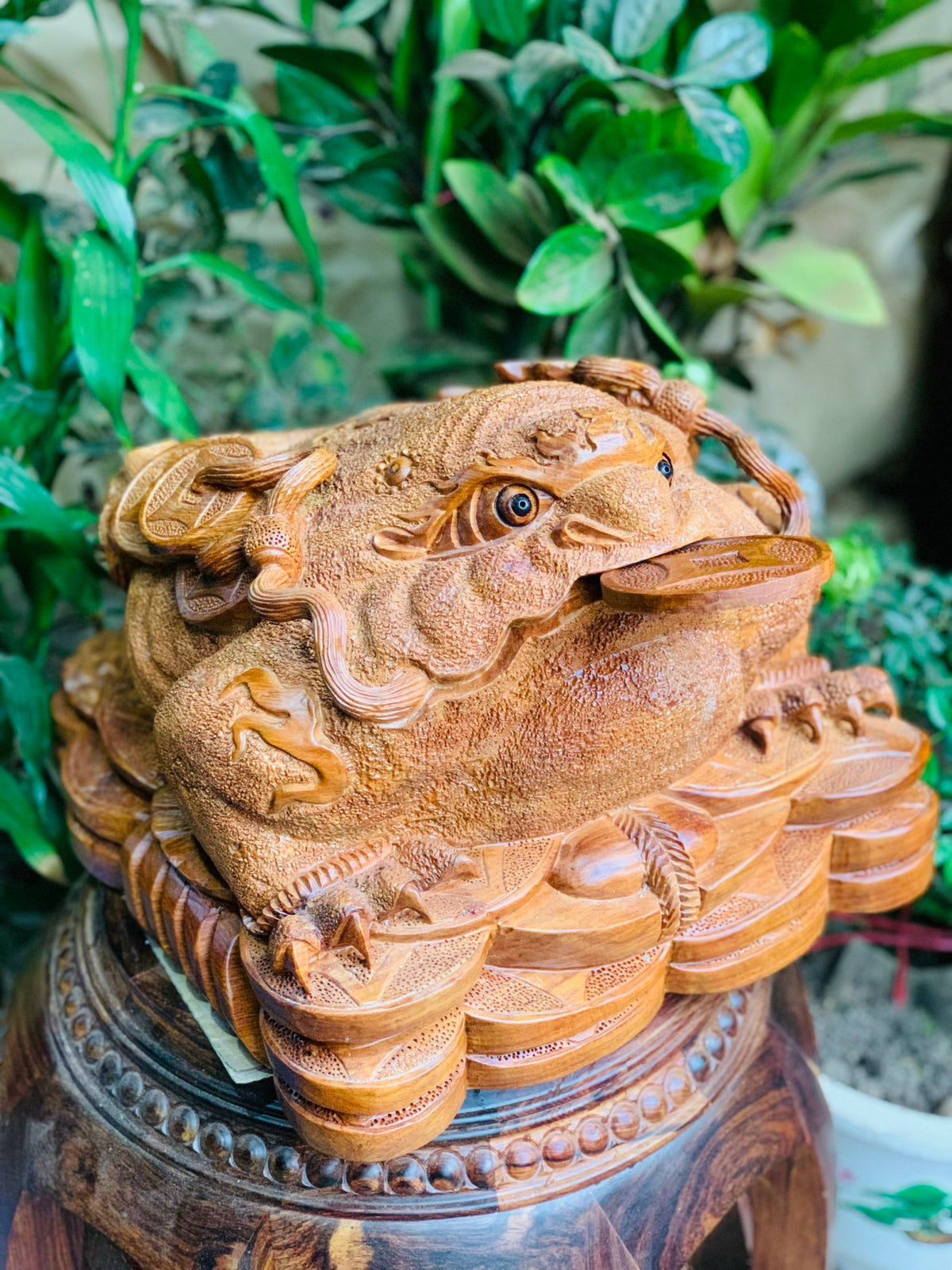 Linh Vật Cóc Vàng Thiềm Thừ Gỗ Hương Ta Ngang 32cm
