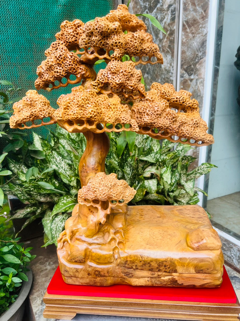 Tác Phẩm Mỹ Nghệ Tùng Quân Tử - Bon Sai Gỗ Nu Ngọc Am Thơm