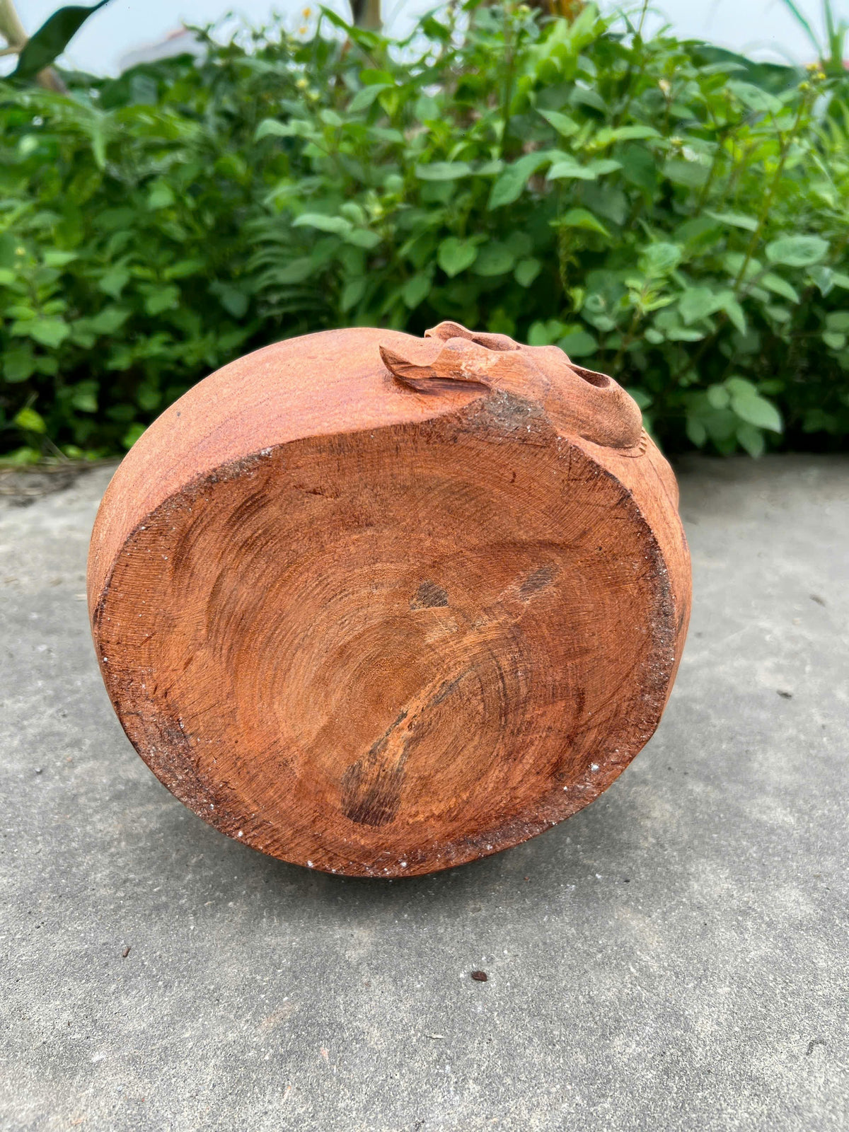 Cún Đứng Tượng Gỗ Hương Ta - Cao 38cm