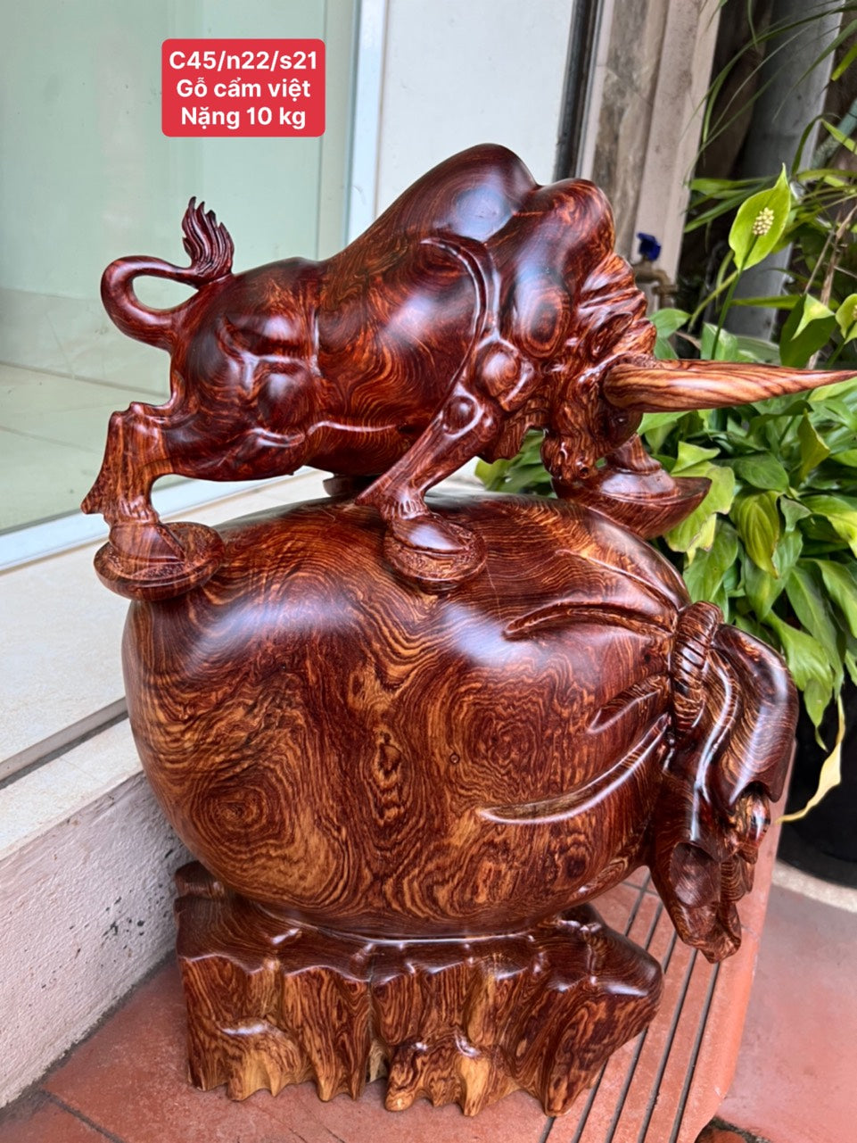 Tượng Bò Tót Gỗ Cẩm Việt Đứng Bao Tiền Vân Siêu Vip Cao 45cm