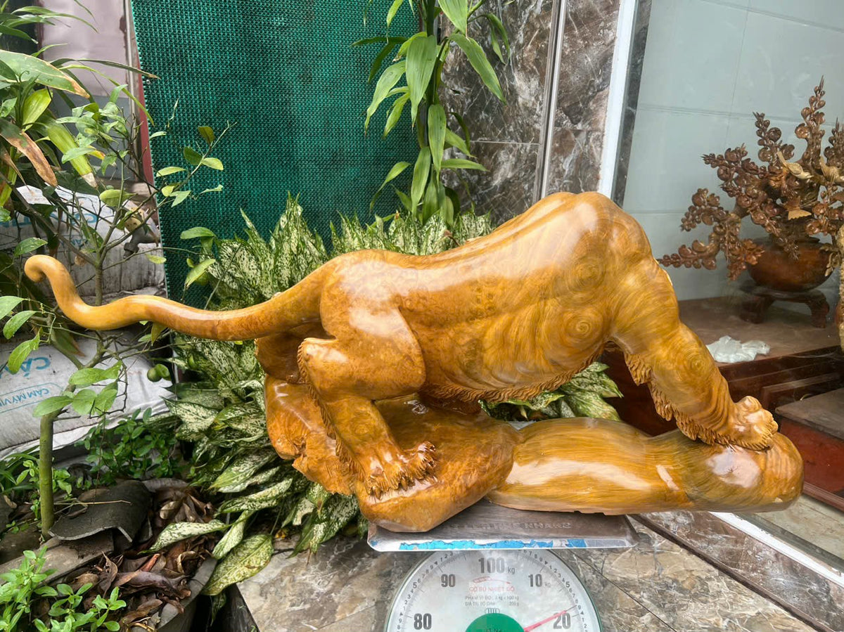 Tượng Phong Thuỷ Hổ Nu Kháo Vàng - Gỗ Kỹ Nét  Cao 40