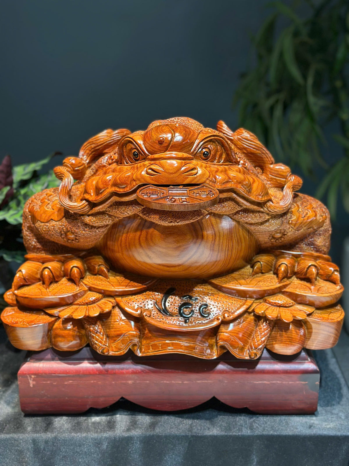 Tượng Linh Vật Thiềm Thừ Gỗ Cẩm Paodosa Nguyên Khối Cao 31cm