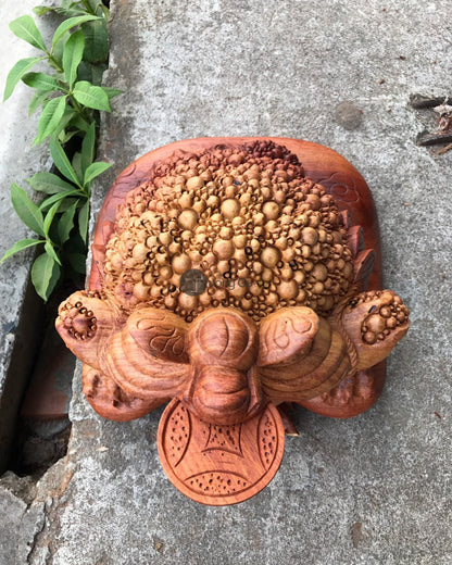 Thiềm Thừ Đứng Bao Tiền Phong Thủy