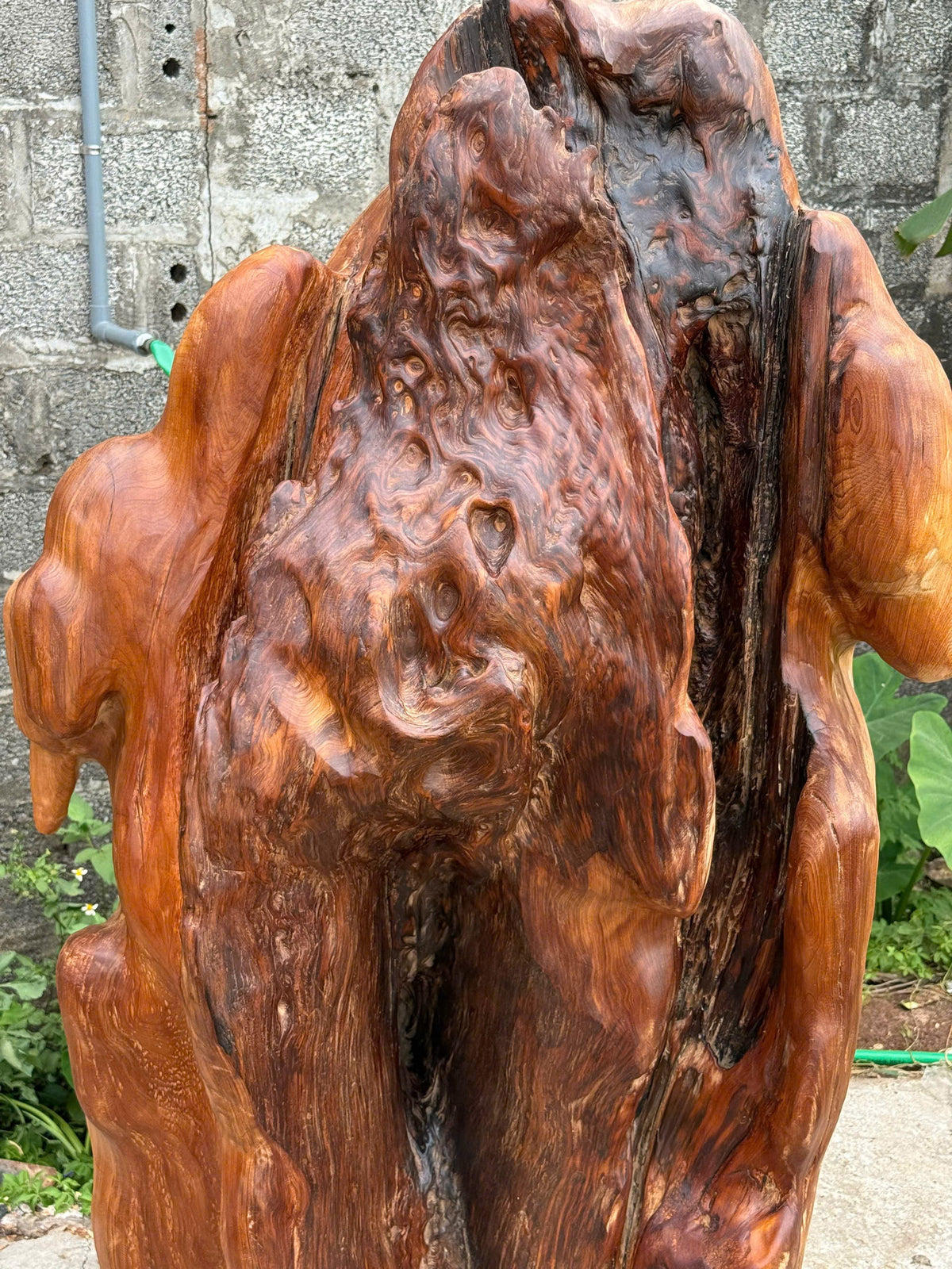 Phôi Gỗ Tự Nhiên Lũa Ngọc Am Nghệ Thuật Kích Thước 145x88x40cm 250kg