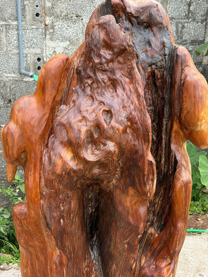 Phôi Gỗ Tự Nhiên Lũa Ngọc Am Nghệ Thuật Kích Thước 145x88x40cm 250kg