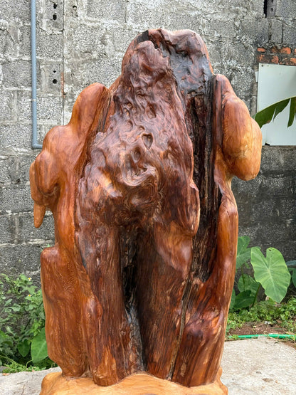 Phôi Gỗ Tự Nhiên Lũa Ngọc Am Nghệ Thuật Kích Thước 145x88x40cm 250kg