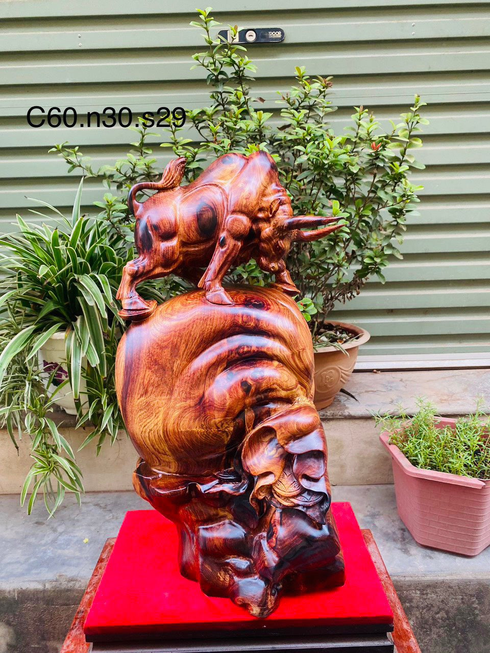 Tượng  Bò Tót Phong Thủy Trên Bao Tiền Gỗ Cẩm Cao 60
