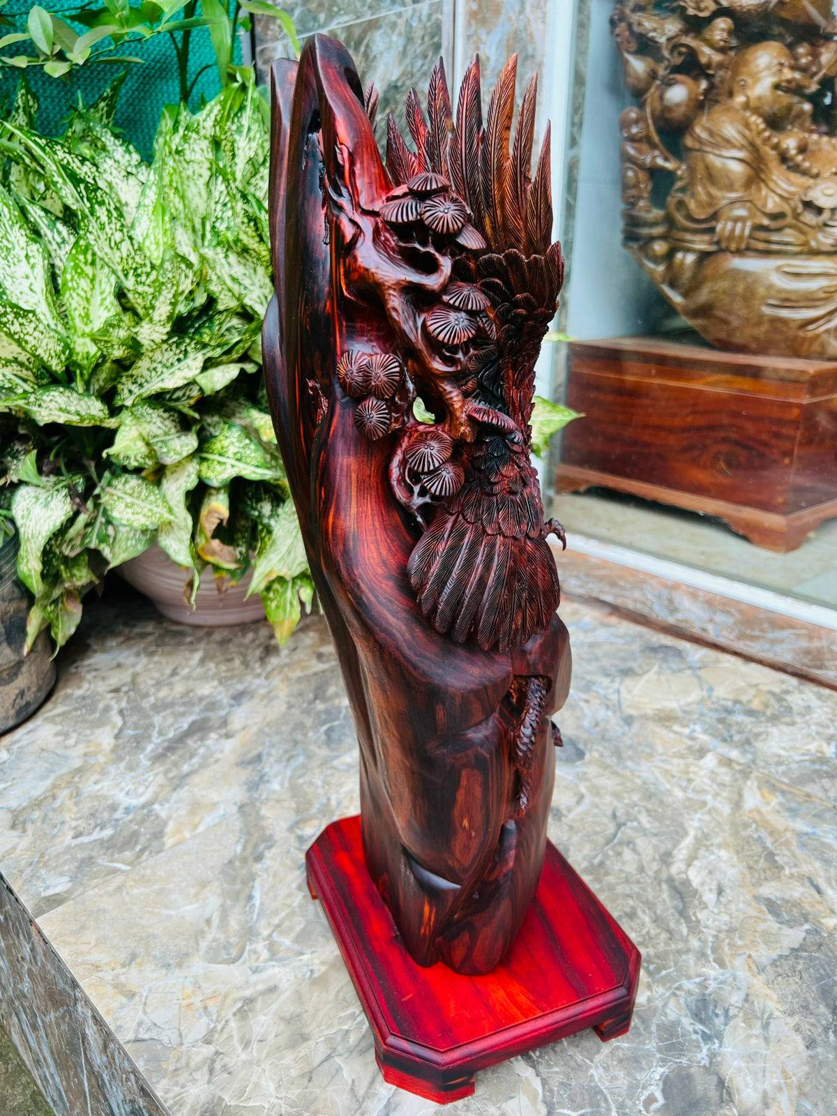 Tượng Đại Bàng Săn Mồi Gỗ Trắc Ta Đỏ Đen Cao 57cm