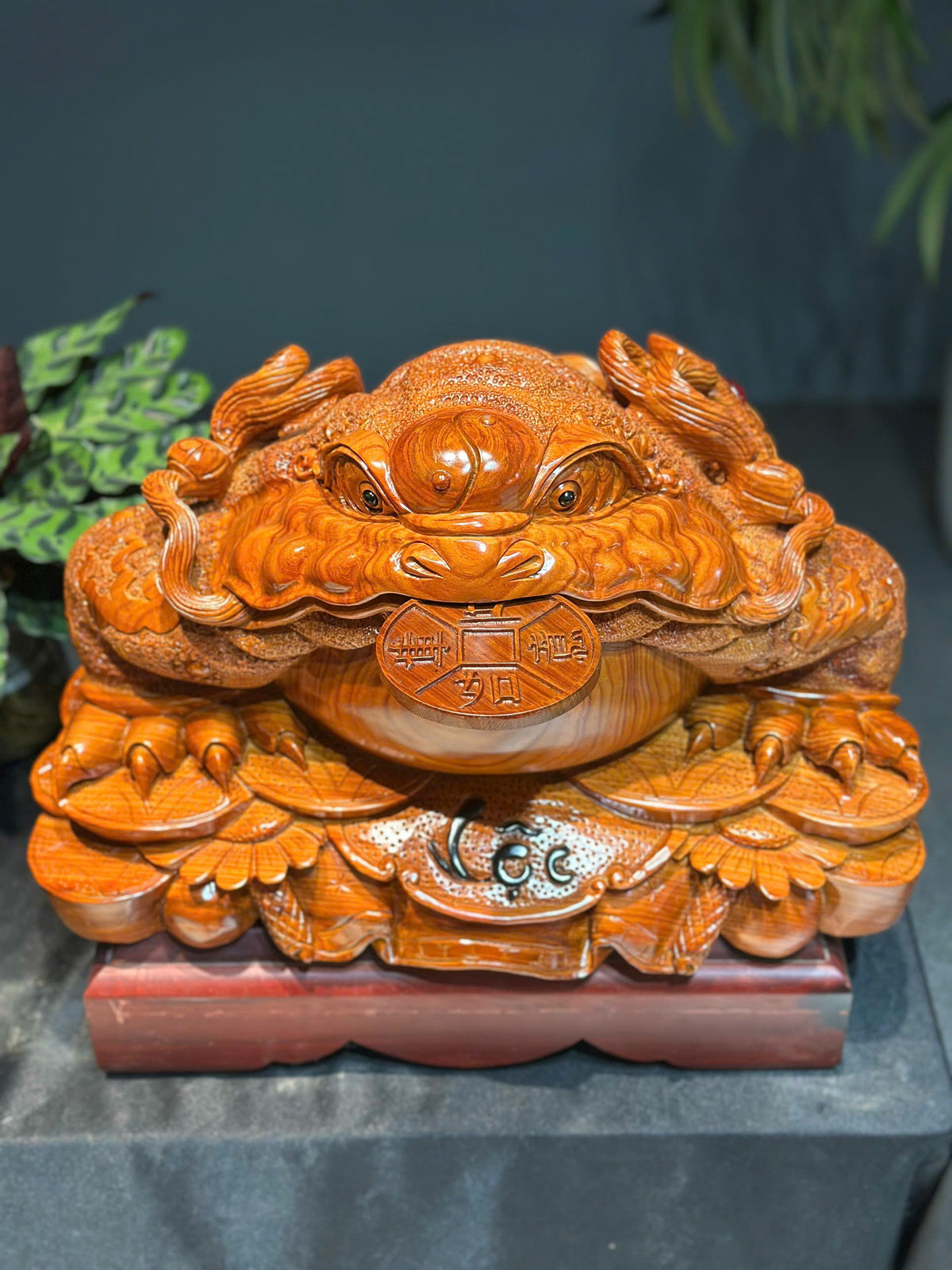 Tượng Linh Vật Thiềm Thừ Gỗ Cẩm Paodosa Nguyên Khối Cao 31cm