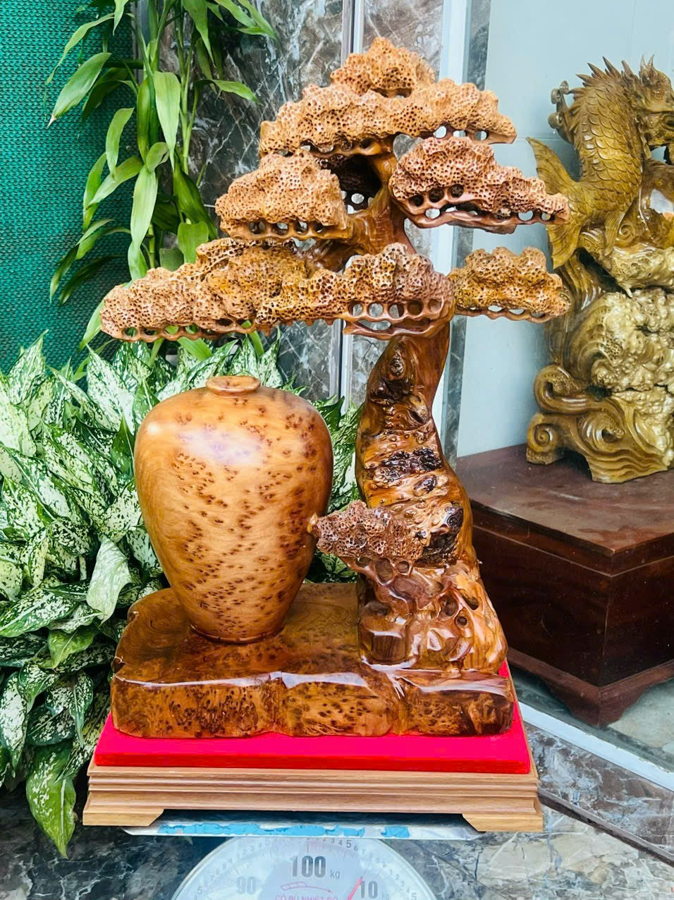 Bình Tài Lộc Và Cây Tùng Nu Gỗ Ngọc Am Nu Kín Thơm