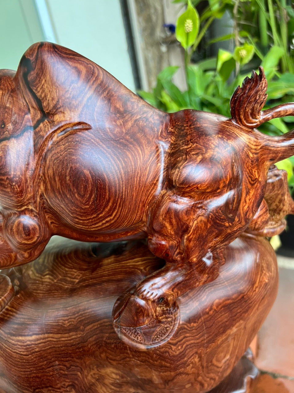 Tượng Bò Tót Gỗ Cẩm Việt Đứng Bao Tiền Vân Siêu Vip Cao 45cm