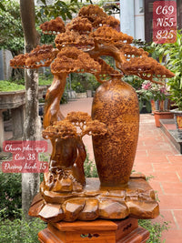 Bình chum gỗ phú quý từ gốc tùng - nu ngọc am,