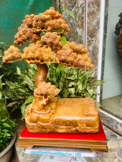 Tác Phẩm Mỹ Nghệ Tùng Quân Tử - Bon Sai Gỗ Nu Ngọc Am Thơm