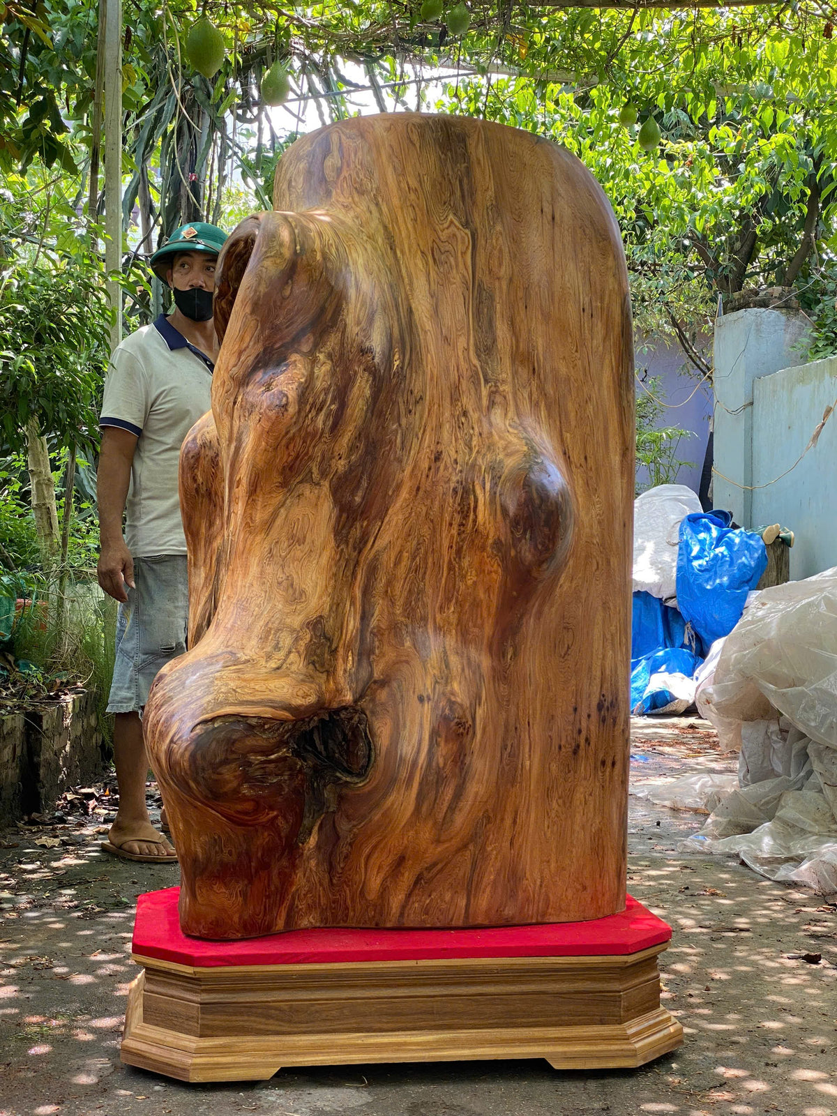 Lũa Gốc Rễ Ngọc Am Mọng Dầu Nghệ Thuật - Khối Lượng 380kg