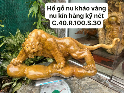 Tượng Phong Thuỷ Hổ Nu Kháo Vàng - Gỗ Kỹ Nét  Cao 40