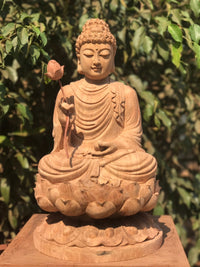 Tượng Gỗ Niên Hoa Vi Tiếu