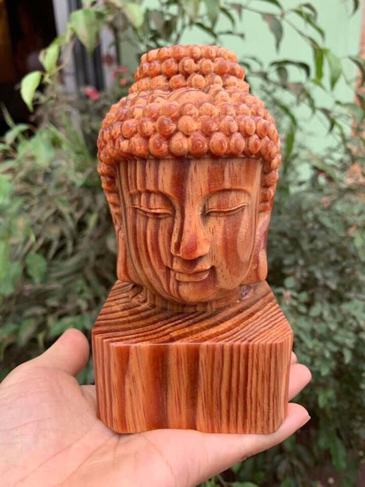 Diện Tổ Gỗ Huyết Long Thấu Quang