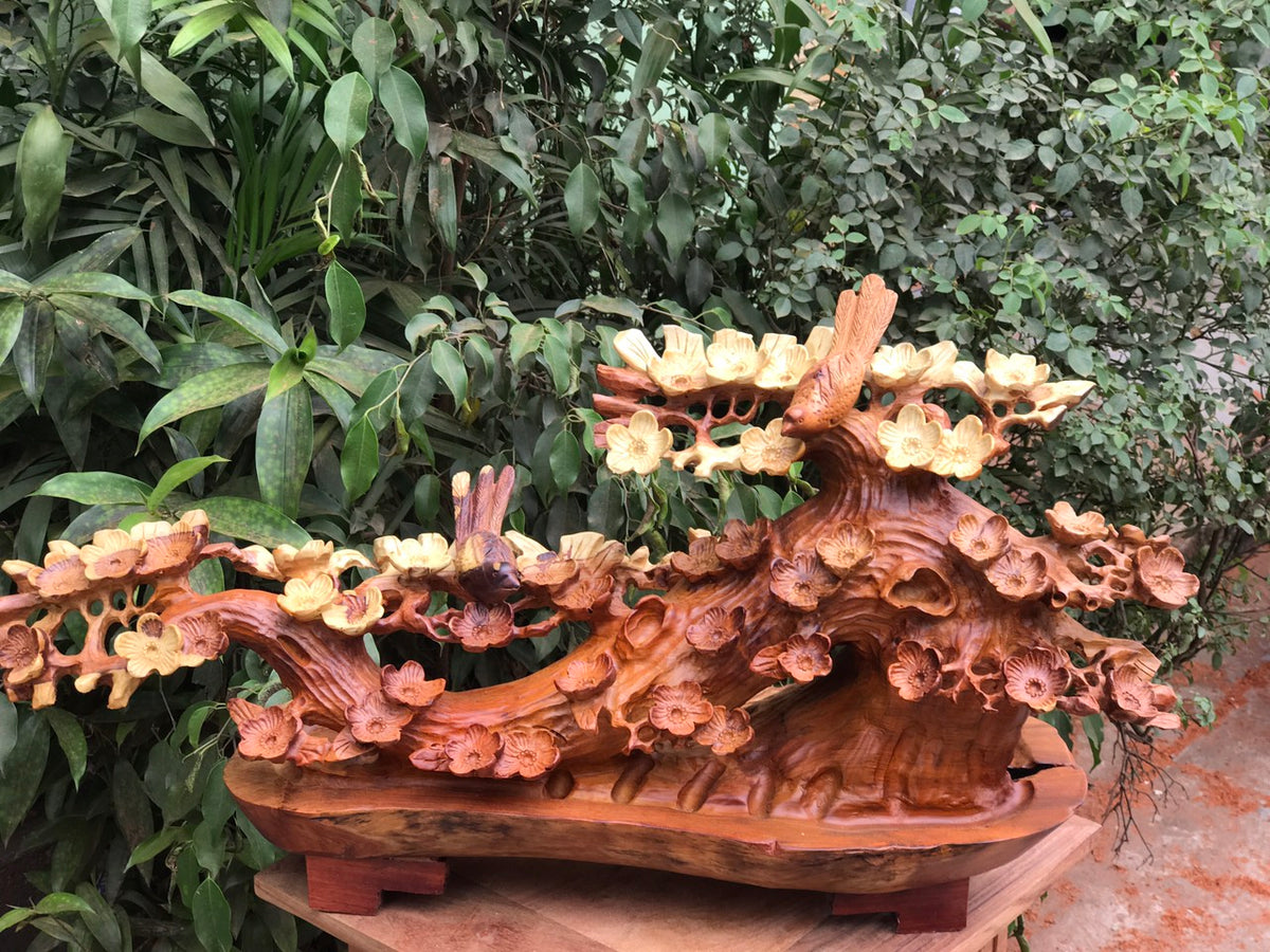 Mai Bonsai Nghệ Thuật - Gỗ Hương