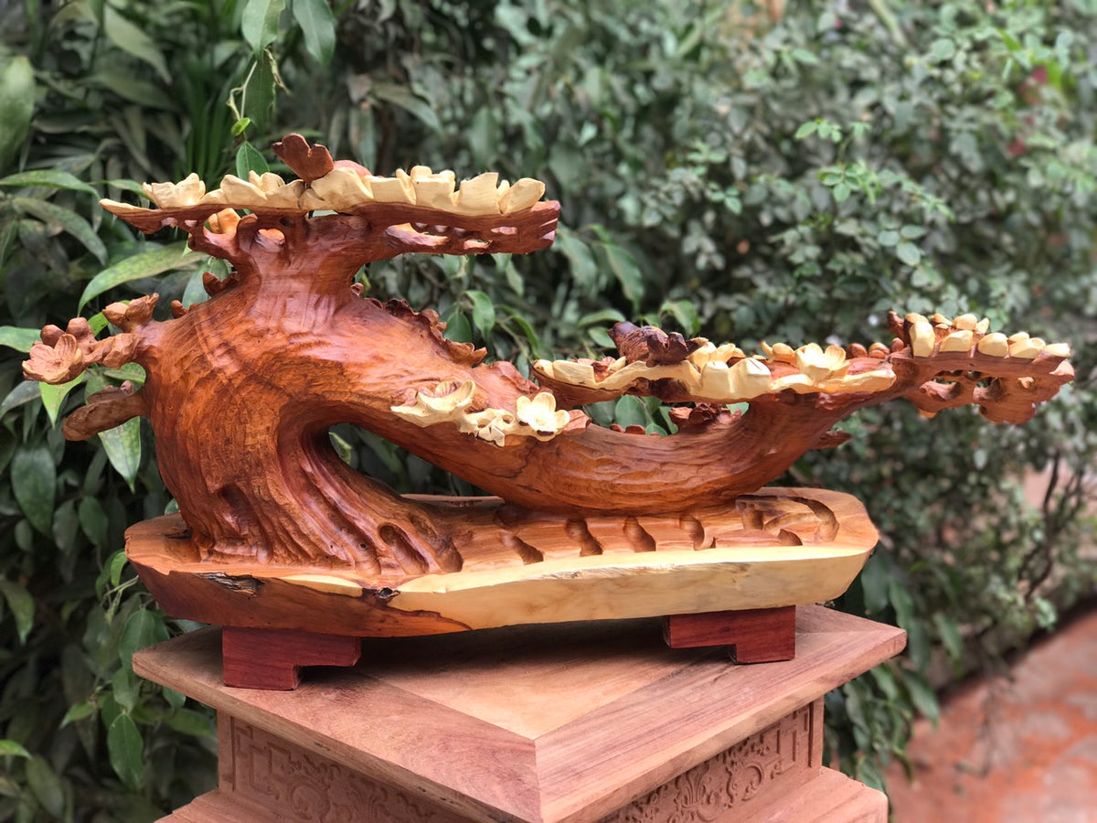 Mai Bonsai Nghệ Thuật - Gỗ Hương
