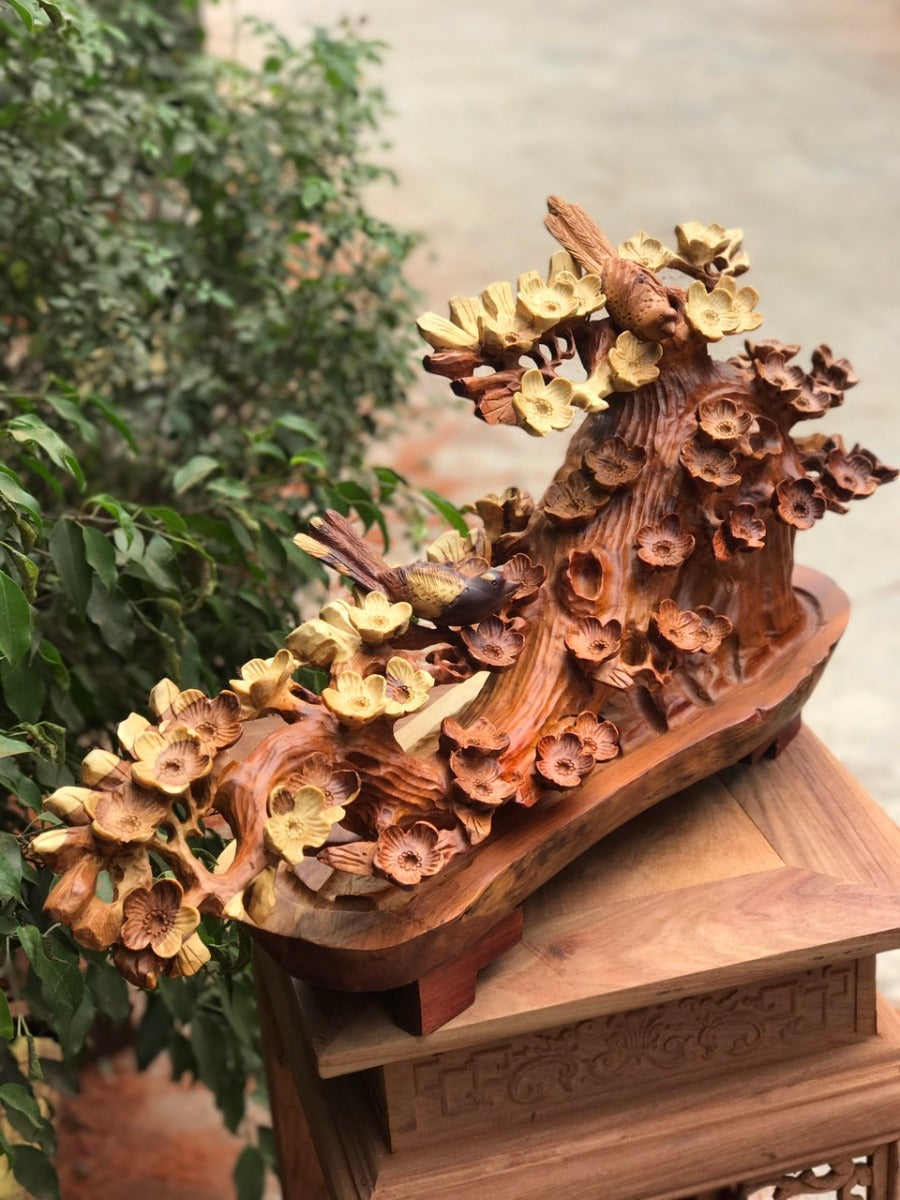 Mai Bonsai Nghệ Thuật - Gỗ Hương