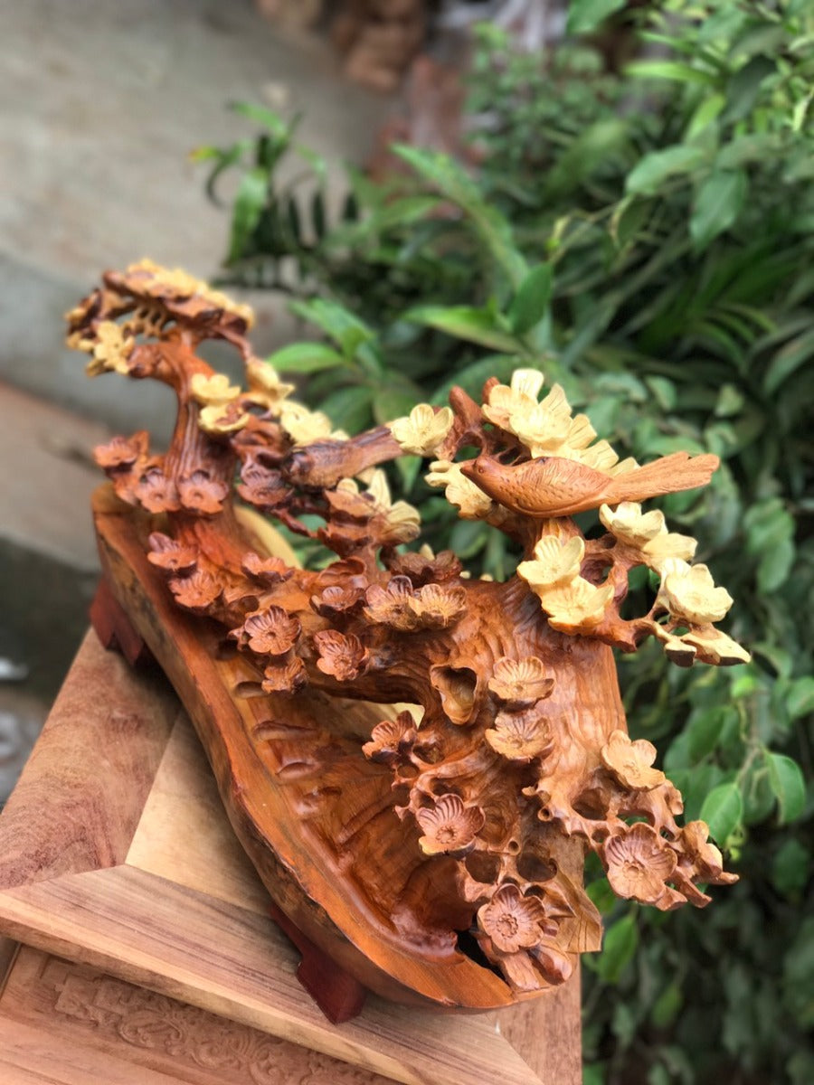 Mai Bonsai Nghệ Thuật - Gỗ Hương