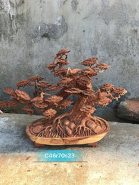 Bonsai Tùng Tam Hạc