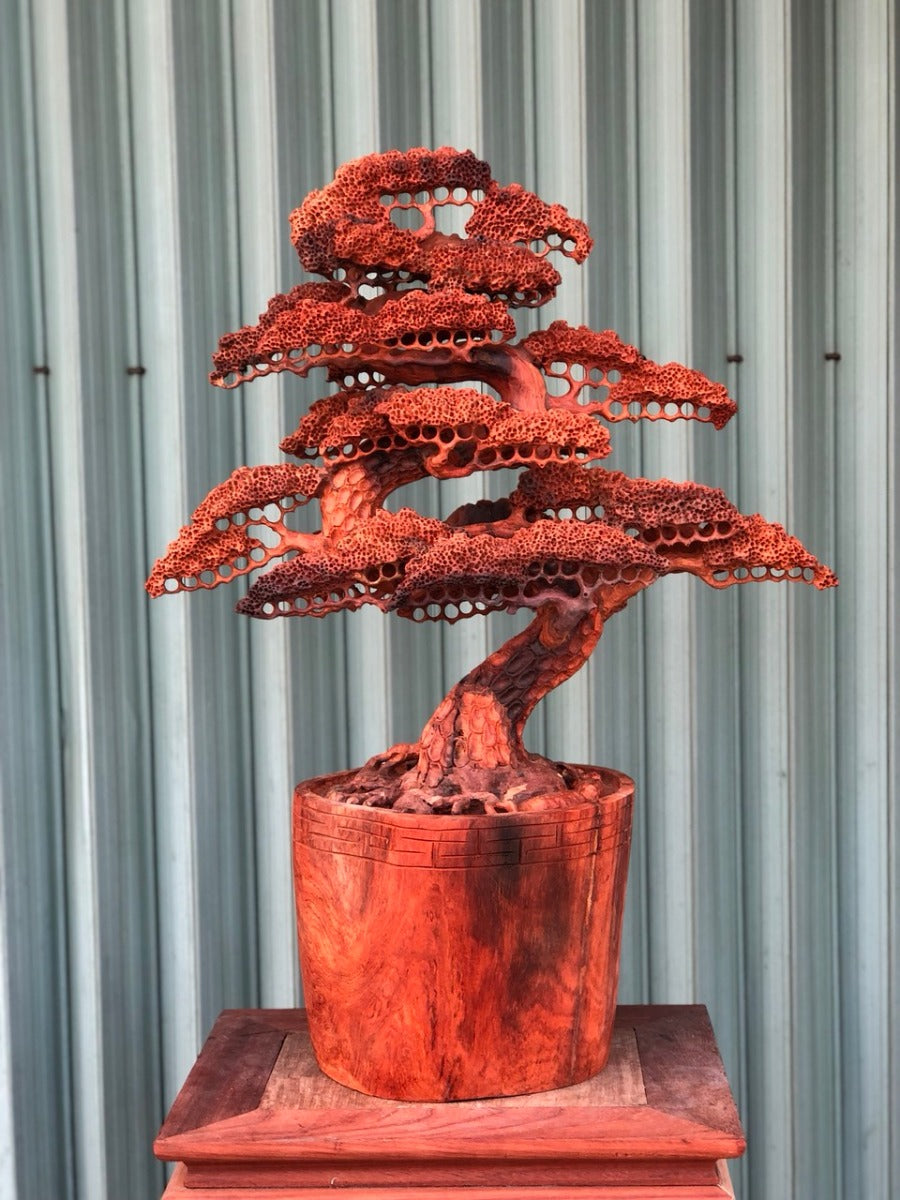 Chậu bonsai Đẹp Gỗ Hương