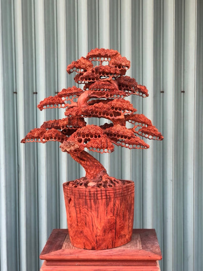 Chậu bonsai Đẹp Gỗ Hương