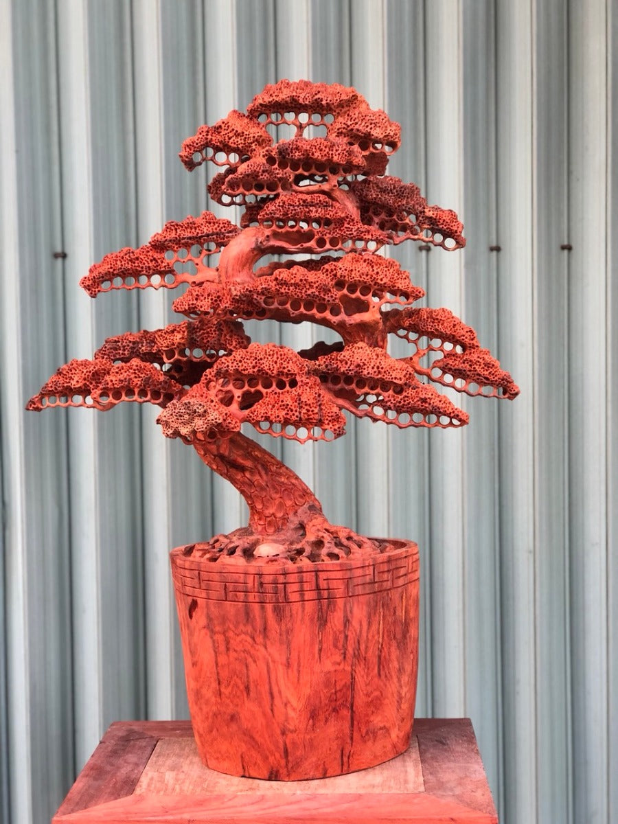 Chậu bonsai Đẹp Gỗ Hương
