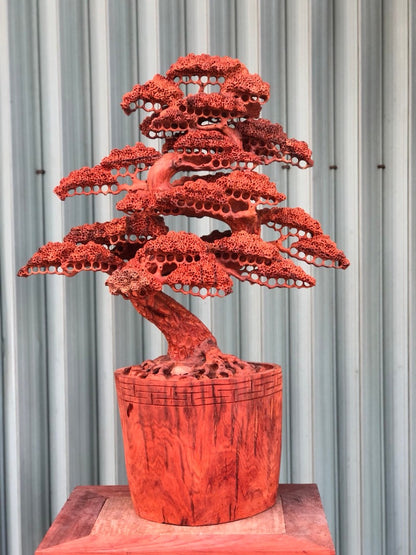 Chậu bonsai Đẹp Gỗ Hương
