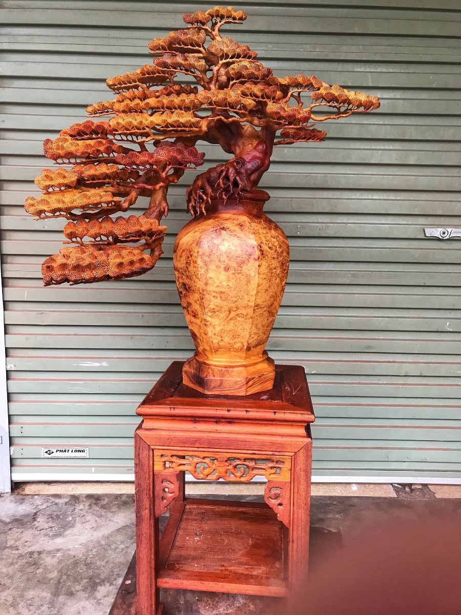 tác phẩm tiểu cảnh  Bình Tùng bonsai gỗ Nu Hương