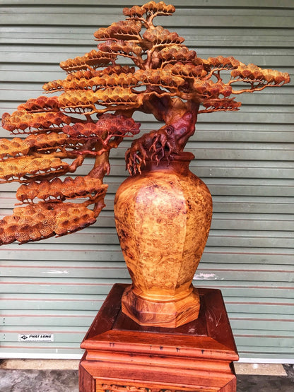 tác phẩm tiểu cảnh  Bình Tùng bonsai gỗ Nu Hương