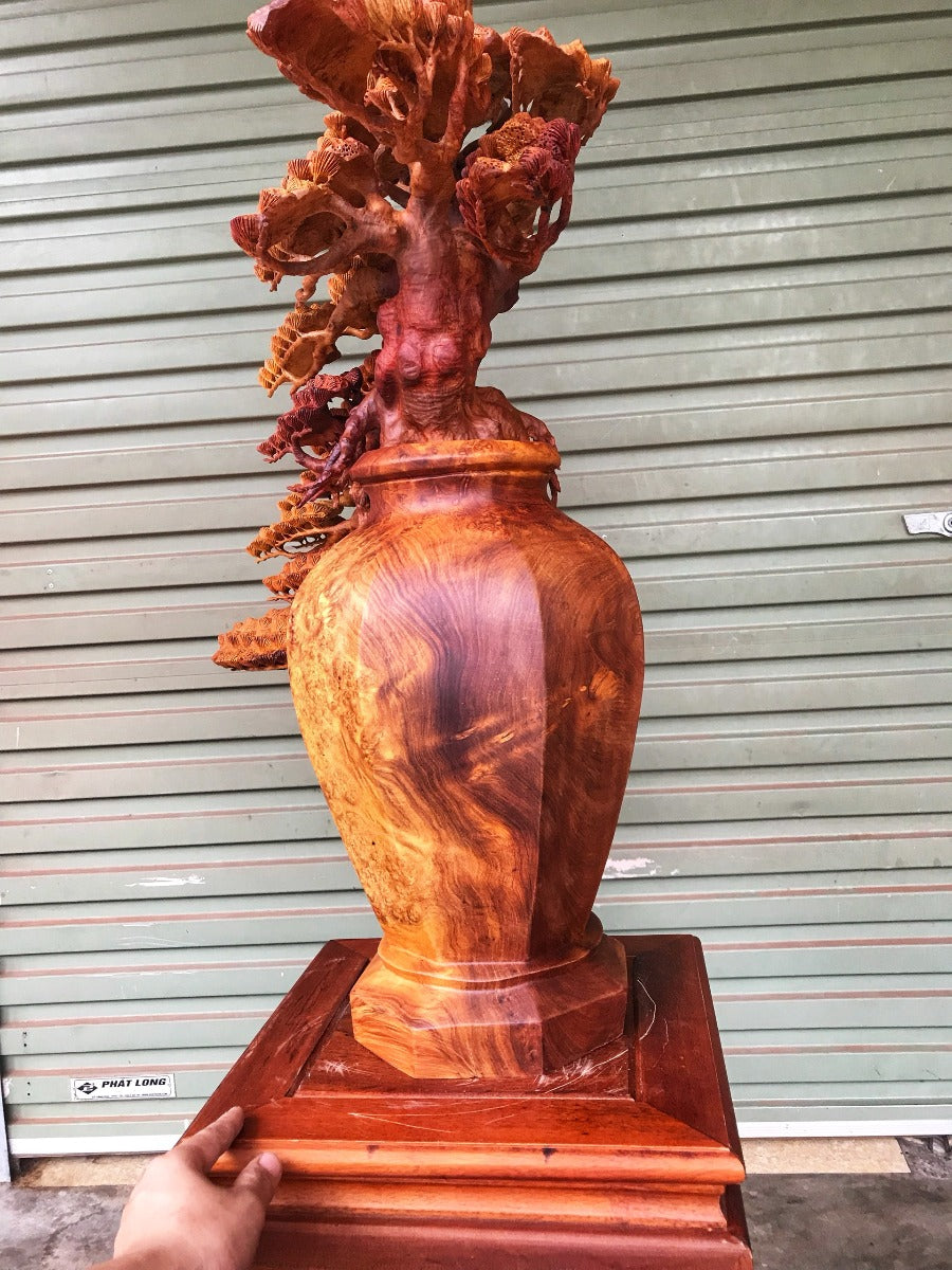 tác phẩm tiểu cảnh  Bình Tùng bonsai gỗ Nu Hương