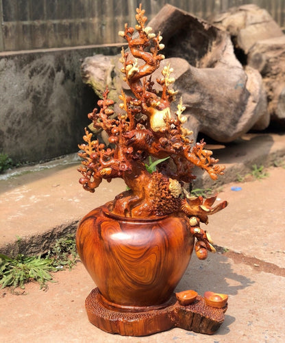 Bình Mai Phú Quý Đục Kênh Boong