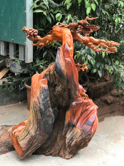 Tiểu Cảnh Đàn Hươu Dưới Tán Tùng