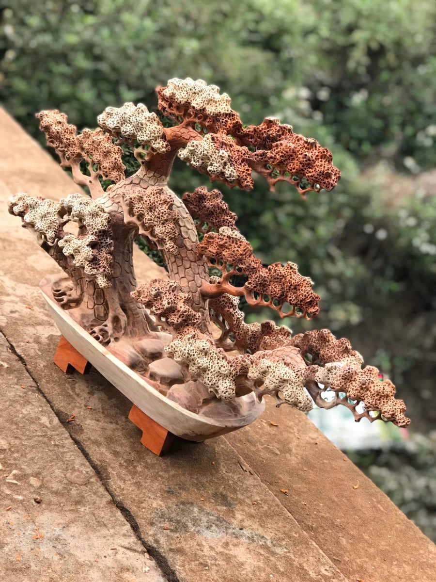 Tùng Bonsai Ngang 70