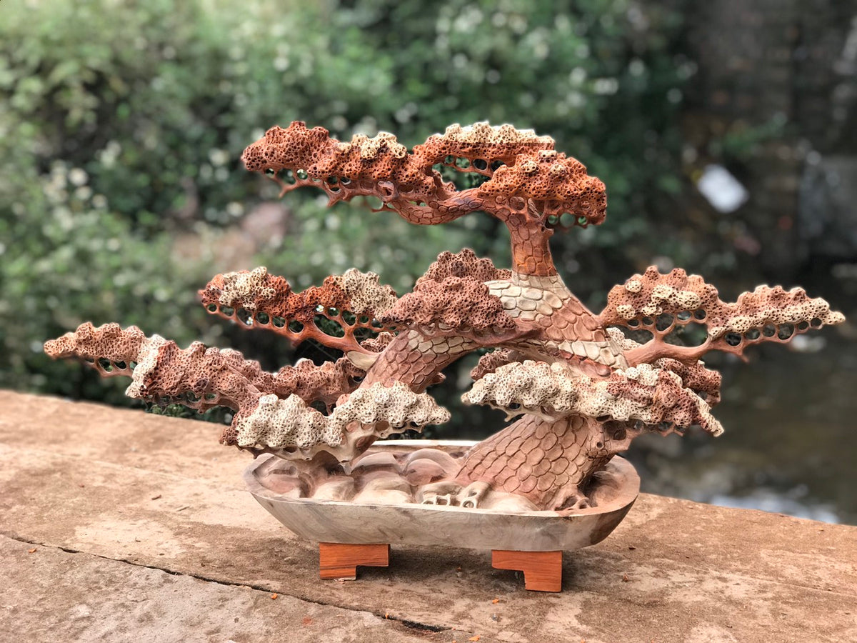 Tùng Bonsai Ngang 70